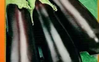 Пакет семян баклажана Жизель с изображением плодов и нарезки