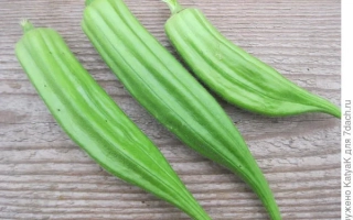 Три зеленых стручка бамии на деревянной поверхности - Юнона