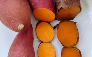 Свежий батат Карат с нарезанными дольками на белой тарелке