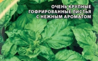 Бутербродный Лист