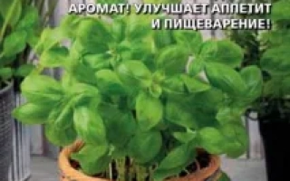 Пакет семян базилика Маленький Проказник