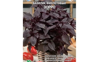 Пакет семян базилика фиолетового сорта Зорро