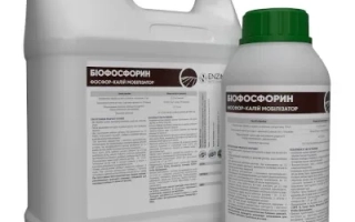 Белая канистра и бутылка с зелёной крышкой, на этикетке написано «БИОСКОРПИОН». - Базеос