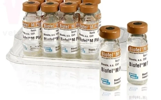 Ампулы препарата Biofil-M в прозрачной упаковке - Биофил Соя