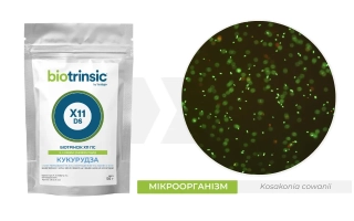 Биотринсик Х11 ПС