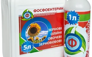 Фосфоентерин