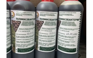 Полимиксобактерин