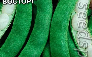 Дитячий Захват