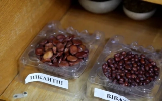 Контейнер с красными бобами, на этикетке написано «БИБ» - Пикантни