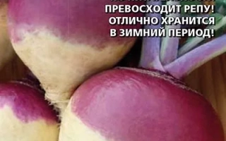 Счастья Полна Чаша