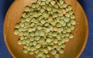 Петровская Зеленозерная