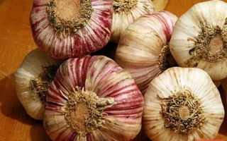 Головки чеснока Алькор на деревянной поверхности