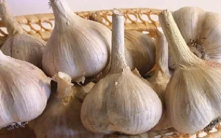 Головки чеснока в плетеной корзине - АНТОННИК