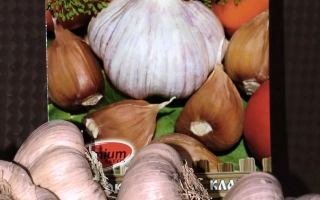 Мешок семян чеснока Богатырь с изображением головок чеснока и овощей