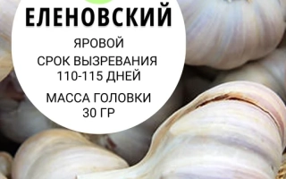 Мешок чеснока сорта Еленовский, вес 1 кг - Демидовский