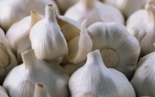 Горсть чеснока Драгун