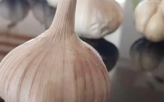 Еленовский