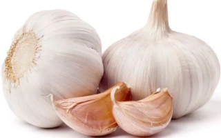 Гарбуз, чеснок, два целых и два разрезанных зубчика на белом фоне - Кировский