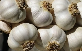 Горсть головок чеснока на светлом фоне - ЛЕКАРЬ