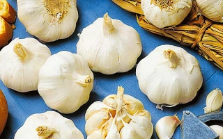 Горсть чеснока на синем фоне - Надёжный