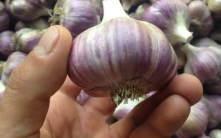 Наша Любаша