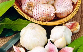 Новгородский