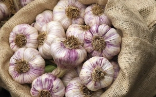 Головки чеснока в мешке - Редалиум