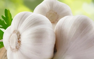 Головки чеснока на деревянной поверхности с зеленым фоном - Скиф