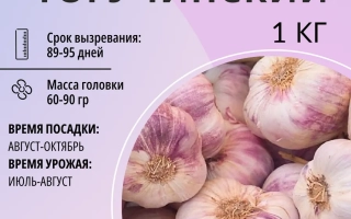 Тогучинский