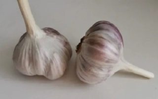 Два целых зубчика чеснока сорта Триумф на светлом фоне