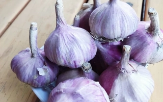 Гармошка чеснока на деревянной поверхности - ЮБИЛЕЙНЫЙ 07