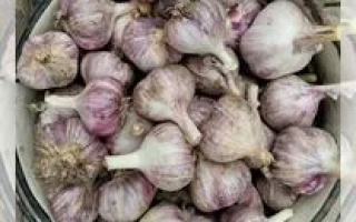 Горсть чеснока в металлической корзине - ЮРГА