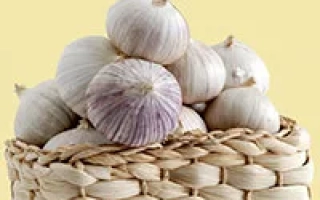 Горка чеснока в плетёной корзине на жёлтом фоне - Вятский