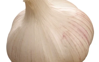 Головка чеснока на белом фоне - Витязь