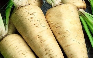 Семена корневой петрушки Петровский в упаковке Аэлита