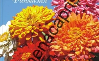 Фантазия Оранжевая