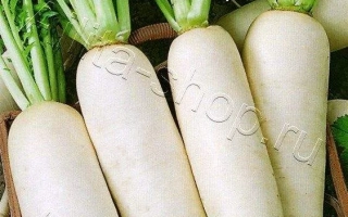 Пакет семян дайкона Дракон с изображением белых корнеплодов