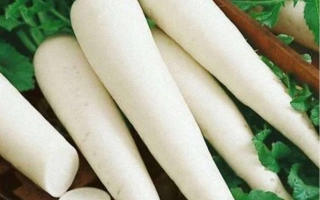 Свежие дайконы белого цвета с зелеными листьями - МИНО САМЭ КРОС