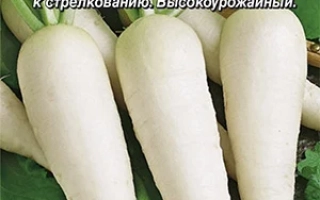 Семена дайкона Носорог в упаковке с изображением белых корнеплодов