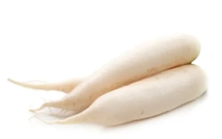 Две белые дайконы на белом фоне - Петербургский