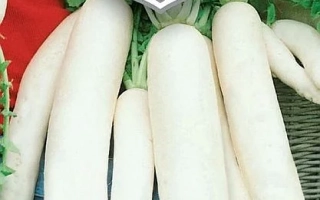 Пакет с дайконом «Соловей-разбойник»