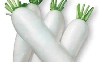 Дайкон Спринг Вайт F1