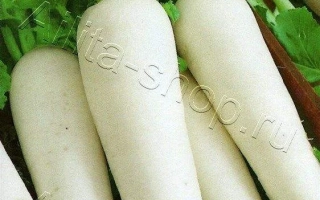 Пакет семян дайкона Зуб Дракона от Аэлита