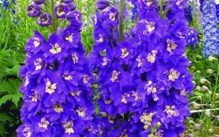 Король Артур