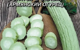 Богатырь Белый