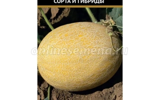 Melon seeds variety Dina on packaging