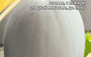 Galina melon seeds on packaging