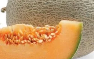 Карибиан Голд РЦ F1