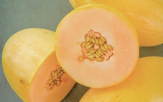 Sliced MARGO | MARGO melon with whole fruits in background