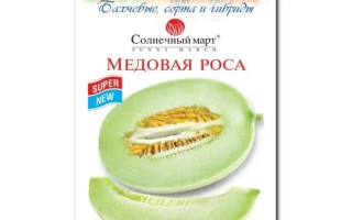 Seed packet for melon HONEY ROSA